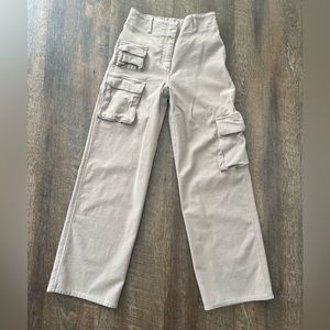 Wilder Free Aritzia Picture pants